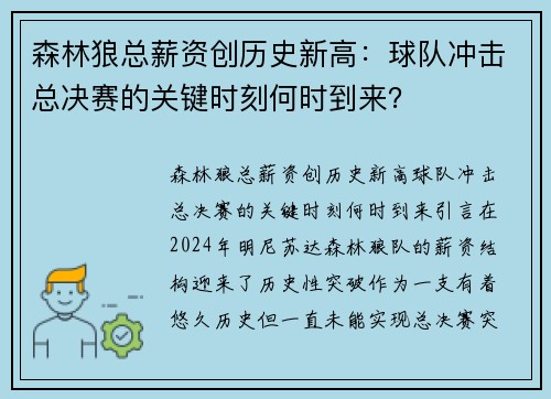 森林狼总薪资创历史新高：球队冲击总决赛的关键时刻何时到来？
